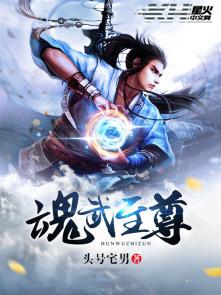 魂武至尊