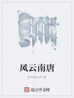 风云南唐