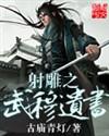 射雕之武穆遗书