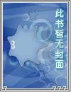 第十三号球王