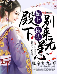 妃上枝头，殿下别来无恙