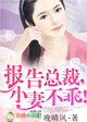 报告总裁，小妻不乖！
