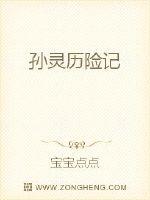 孙灵历险记