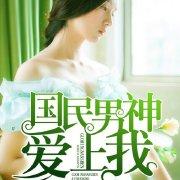 国民男神爱上我